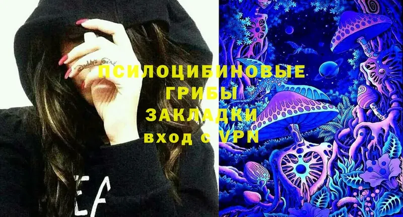 Галлюциногенные грибы Magic Shrooms  Сафоново 